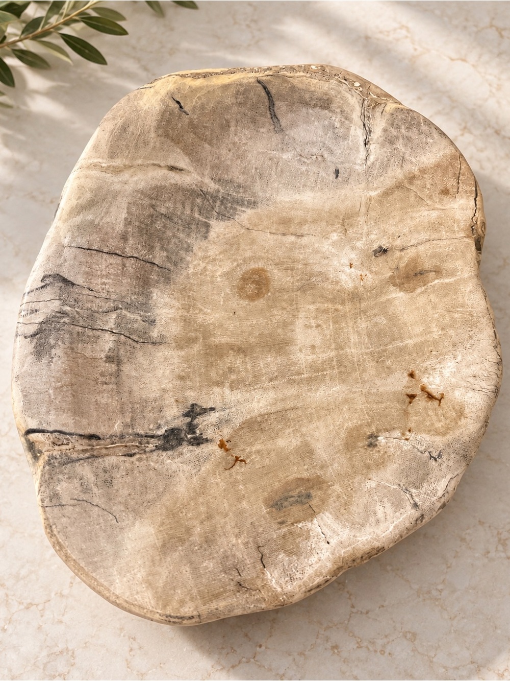 Natural Petrified Wood Decorative Serving Board - Beige